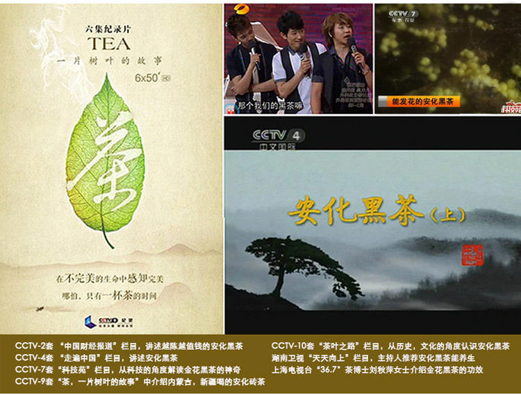 湖南安化黑茶的媒体宣传