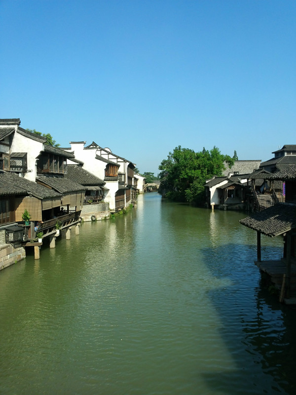 浙江的日常温馨，朋友间的趣事与情感纽带