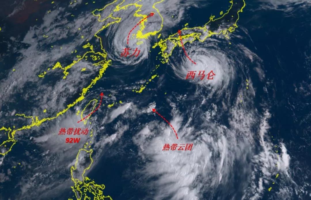 福建的魅力,历史与现代的交织展现风采 🌸