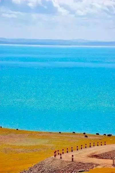 青海，深度解读高原魅力与独特风情评论文章