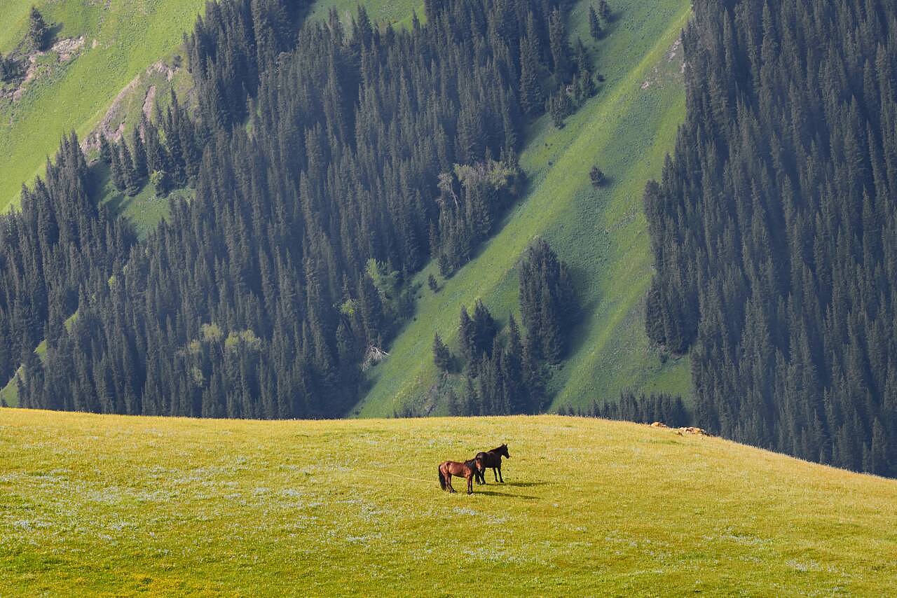 新疆，壮美多彩大地的探秘之旅