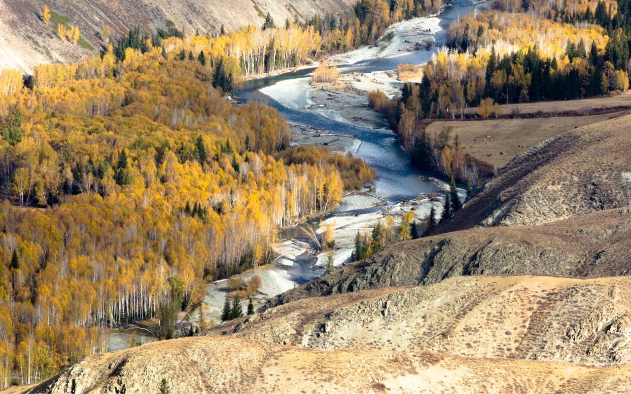 新疆,壮美多彩大地的探秘之旅