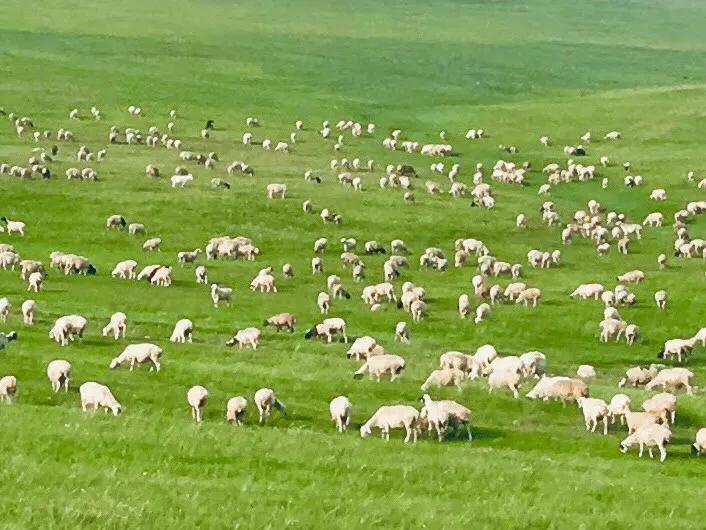 呼伦贝尔,草原励志故事,自信与成就感的起源地