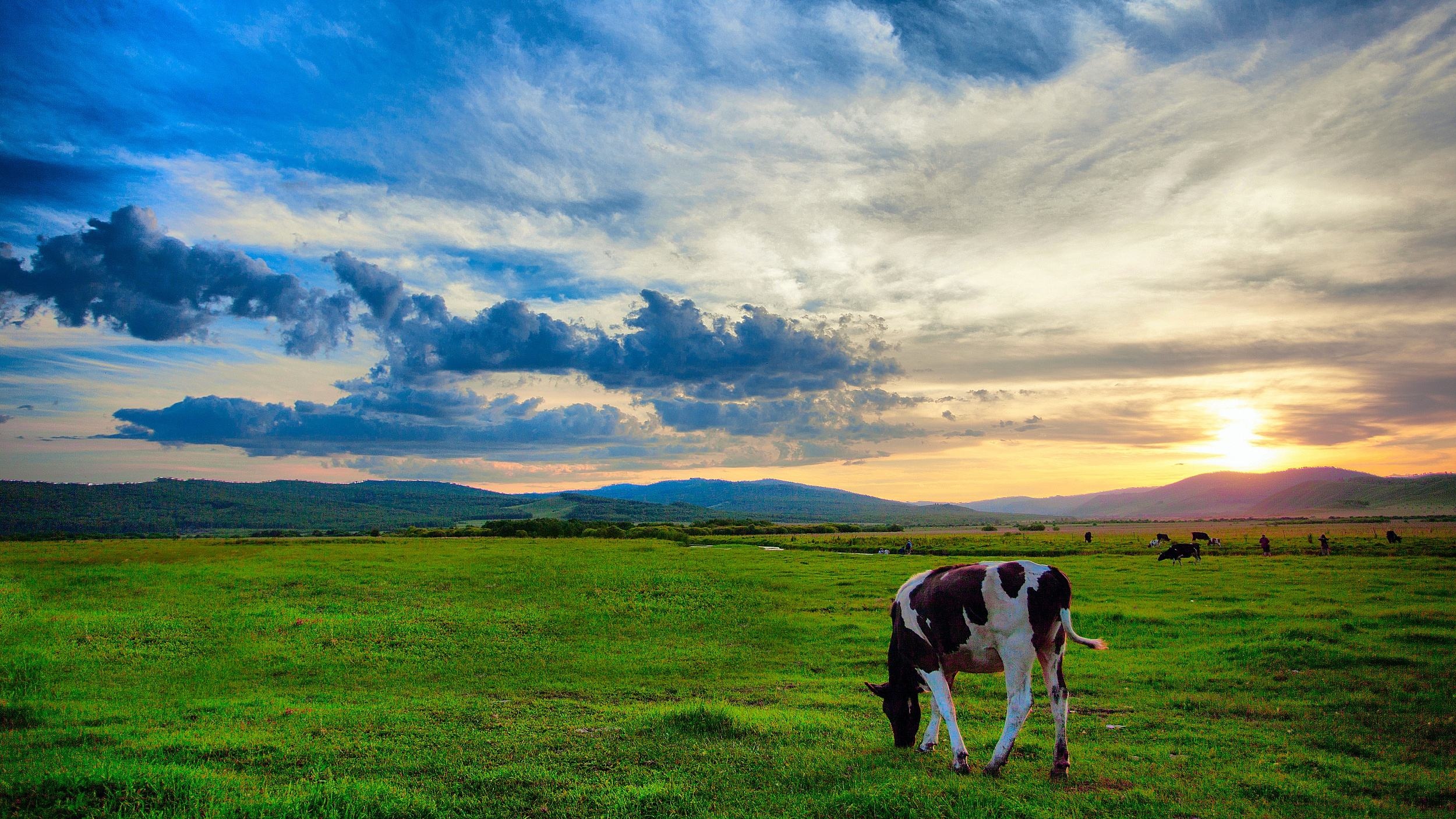 呼伦贝尔之声，尊敬的听众朋友们，大家好！